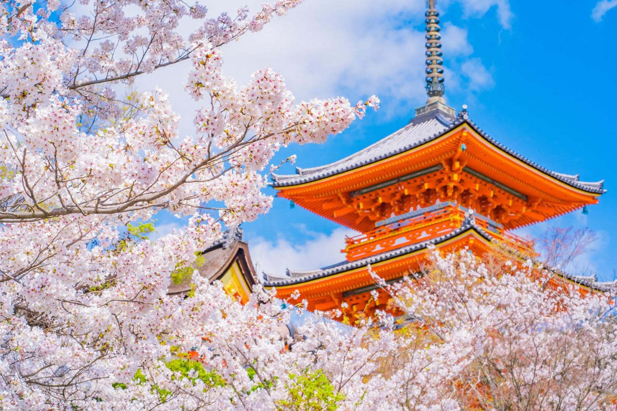 Tokyu Stay Kyoto Sanjo-Karasuma Экстерьер фото
