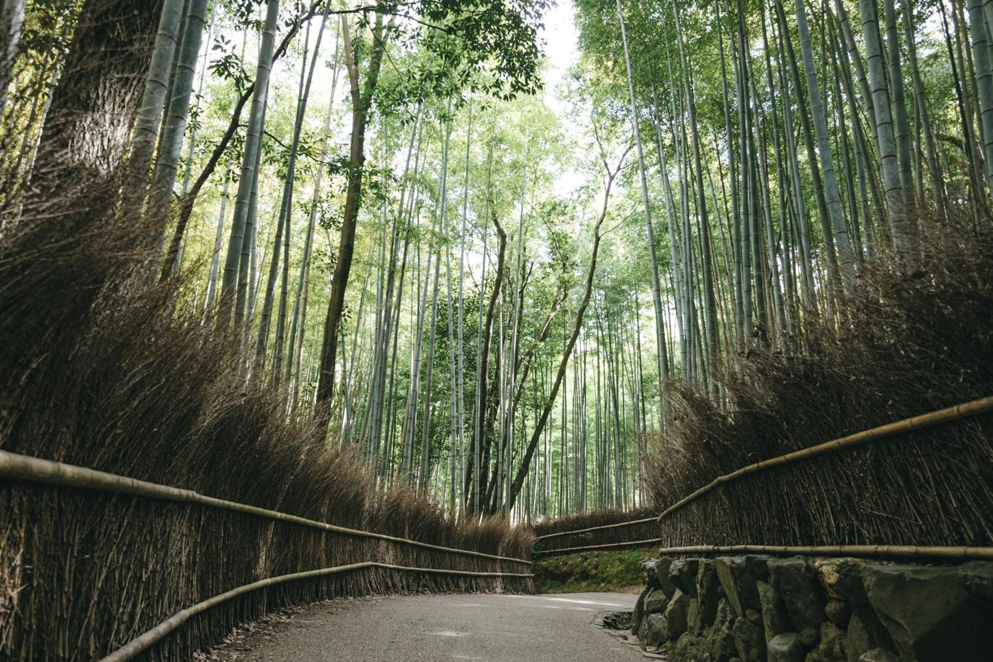 Tokyu Stay Kyoto Sanjo-Karasuma Экстерьер фото